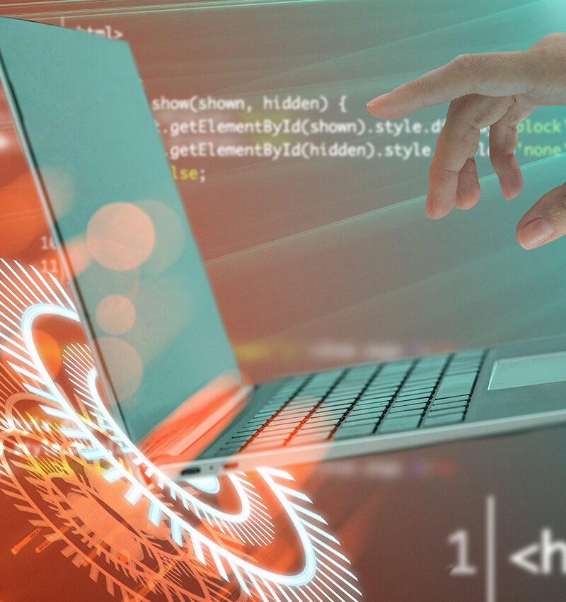 Webentwicklung